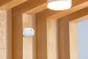 Blu Motion .webp